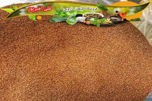 قیمت روز خاکشیر کیلویی