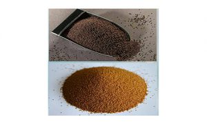 خاکشیر صادراتی