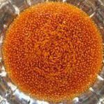 خاکشیر شسته شده