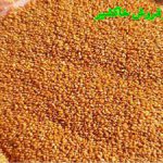 بهترین نوع خاکشیر ایرانی