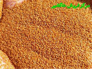 بهترین نوع خاکشیر ایرانی