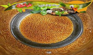 خرید اینترنتی خاکشیر تازه