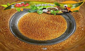 خرید اینترنتی خاکشیر تازه