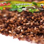 خرید اینترنتی خاکشیر تازه