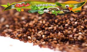 خاکشیر شسته شده