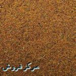 گیاه دارویی خاکشیر ایرانی