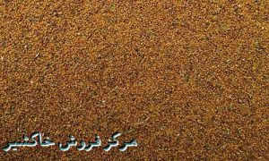 گیاه دارویی خاکشیر ایرانی