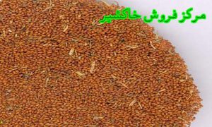 خاکشیر اعلا تولید ایران