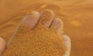 خرید بهترین خاکشیر