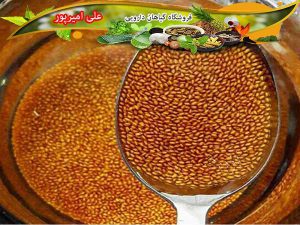 بهترین نوع خاکشیر ایرانی