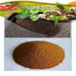 قیمت روز خاکشیر تازه