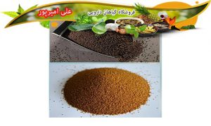 قیمت روز خاکشیر تازه