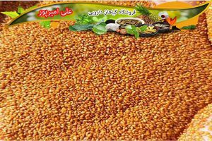 قیمت هر کیلو خاکشیر