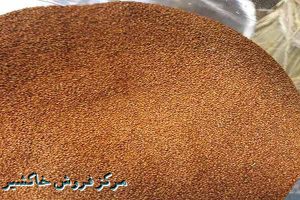 پخش عمده خاکشیر درجه یک