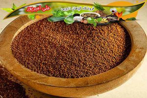 فروش خاکشیر شیرازی