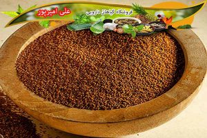 فروش خاکشیر شیرازی