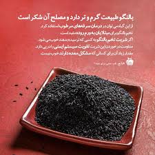 تخم بالنگو سیاه