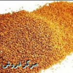 تولید کننده خاکشیر اعلا