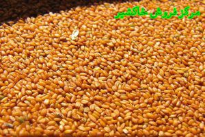 فروش عمده خاکشیر