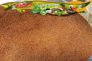 فروش عمده خاکشیر اعلا