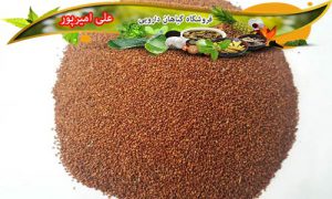 فروشگاه اینترنتی خاکشیر