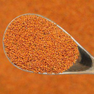 خرید و فروش  عمده خاکشیر همدان