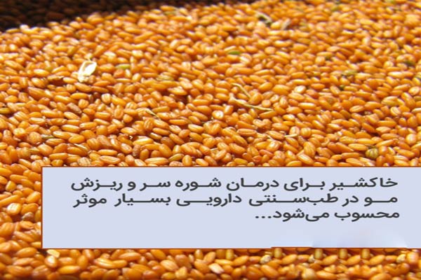 مرکز فروش عمده خاکشیر