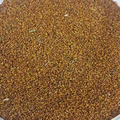 عمده فروشی خاکشیر 