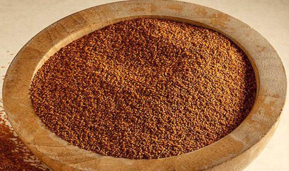 قیمت خرید بذر خاکشیر 