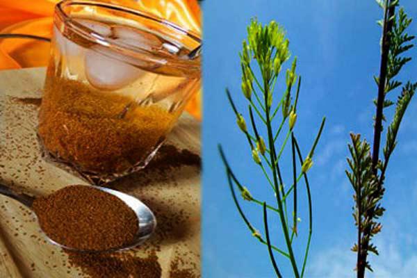 بازار خاکشیر در تهران