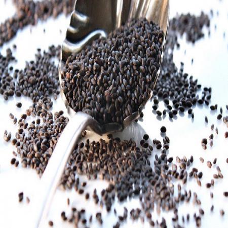 بزرگ ترین توزیع کنندگان تخم شربتی در کشور