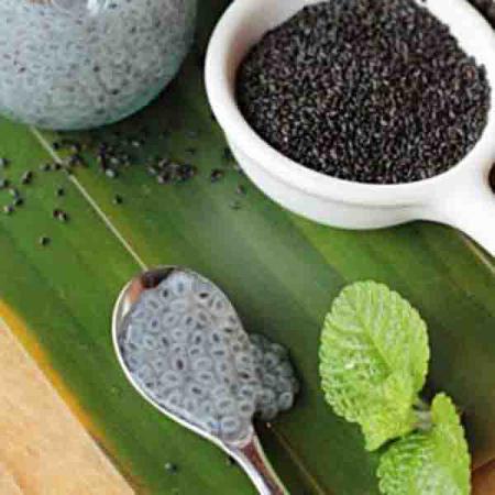 بازرگانی فروش تخم شربتی