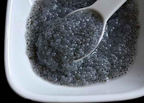 نمایندگی تخم شربتی صادراتی در تبریز