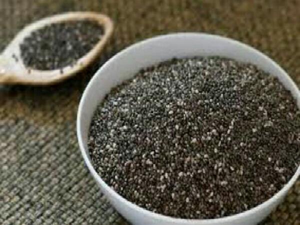 قیمت روز تخم شربتی درجه یک در تبریز