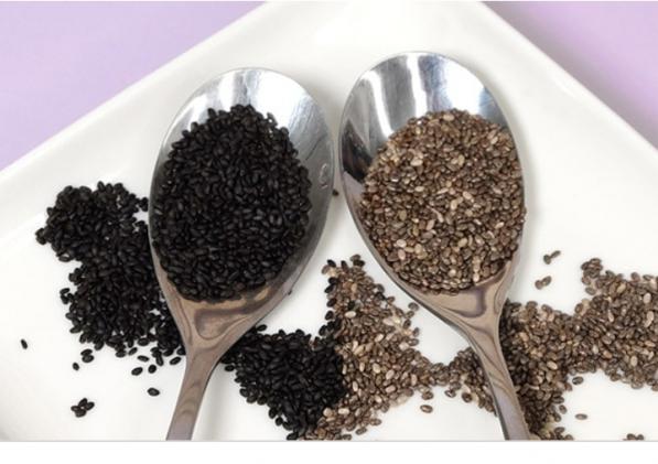 مرجع خرید و فروش تخم شربتی درجه یک در بازار