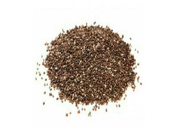 خریدار بهترین بسته بندی تخم شربتی در کشور