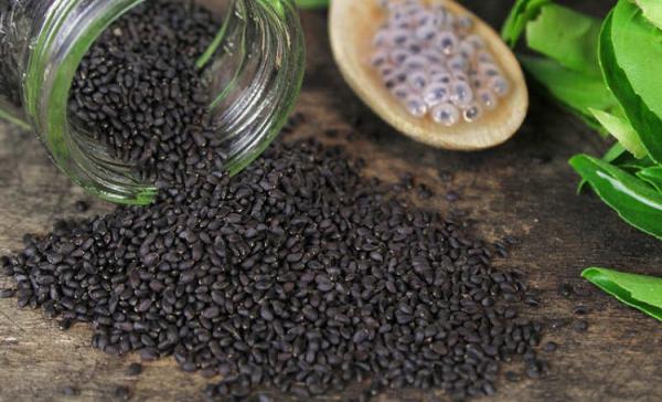 فروشنده تخم شربتی ارزان در کشور