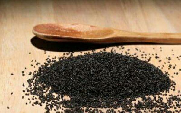 ارسال رایگان تخم شربتی در سراسر کشور