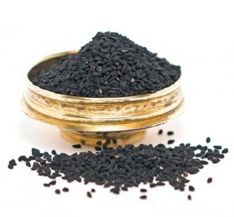 نمایندگی خرید و فروش تخم شربتی در تبریز