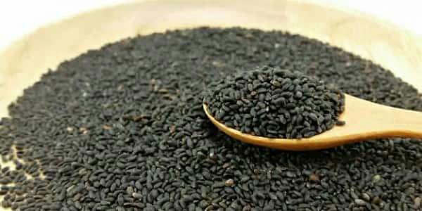 قطب تولید تخم شربتی در ایران