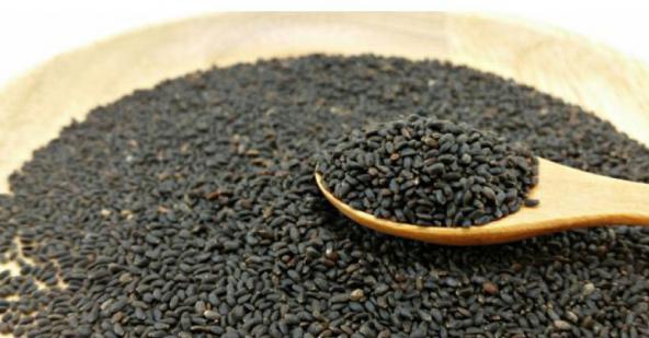 ارائه تخم شربتی درجه یک در ایران