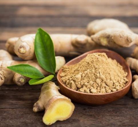 تولید زنجبیل پودر شده با قیمت ارزان