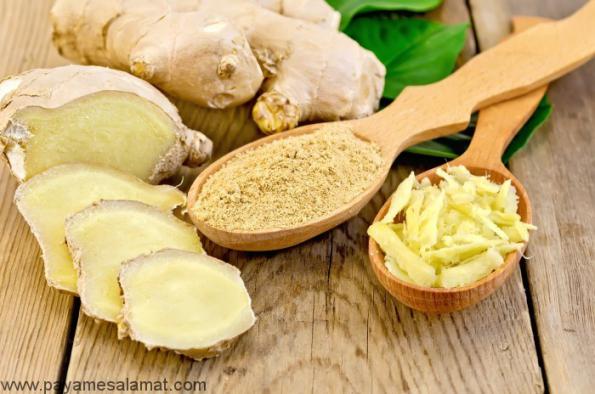 تولید قلم زنجبیل اعلا به صورت عمده