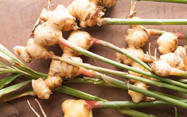 فروشگاه اینترنتی زنجبیل تازه و مرغوب