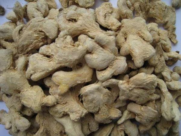 مرکز فروش زنجبیل خشک در دو نوع هندی و چینی