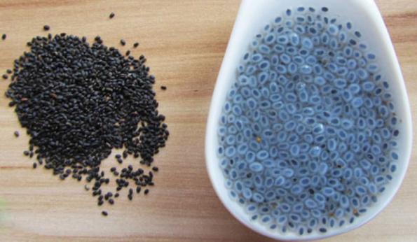 انواع روش های خرید و فروش تخم شربتی