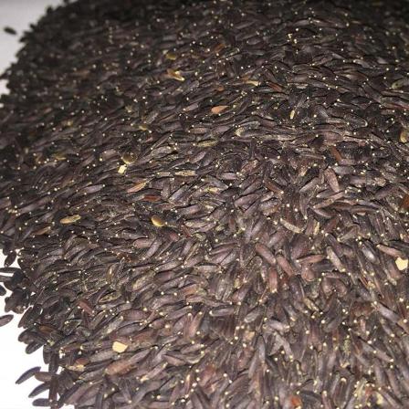 بازار فروش تخم شربتی درشت بالنگو