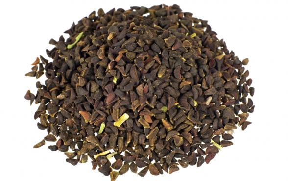 تفاوت تخم شربتی و تخم ریحان