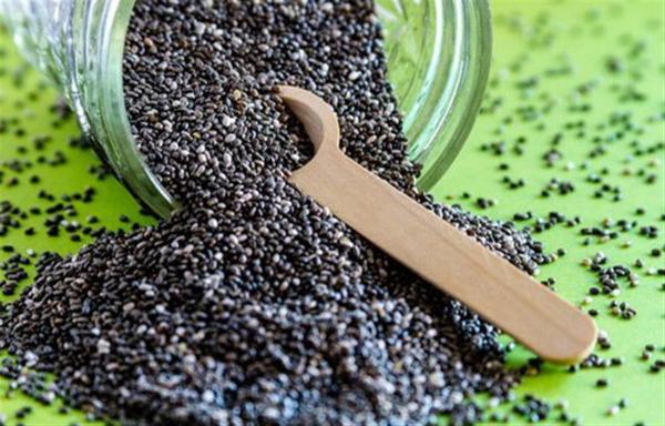 همه چیز درباره تخم شربتی