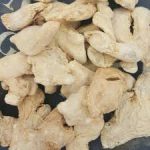 فروش عمده انواع زنجبیل قلم چینی